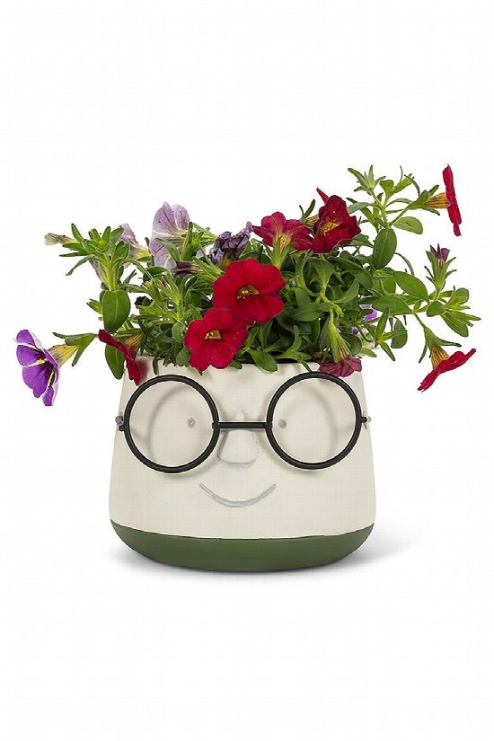 Spectacle Planter Small